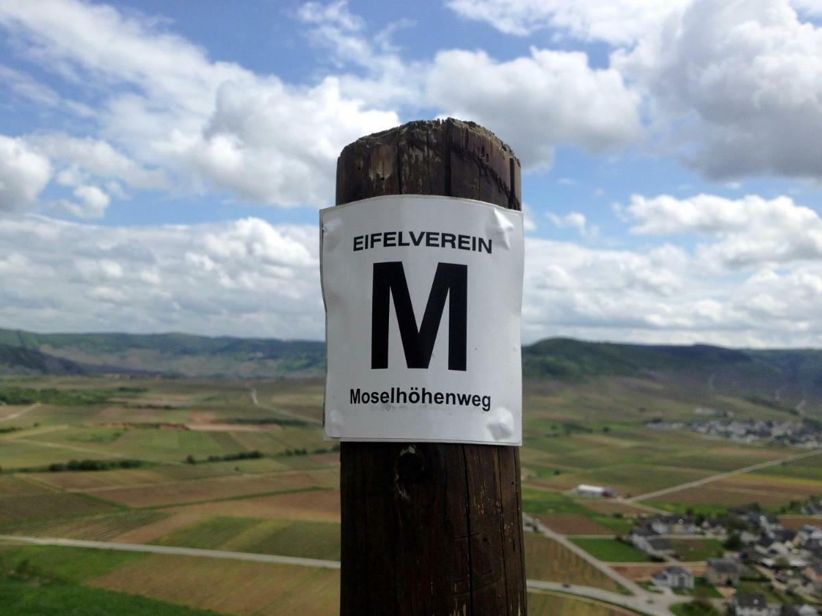 Gaestehaus Hoffmann Farschweiler Exteriér fotografie